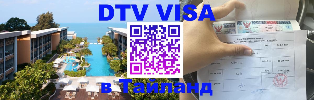 Сколько стоит DTV виза — актуальные цены, оформление даже без документов - Волгоград 